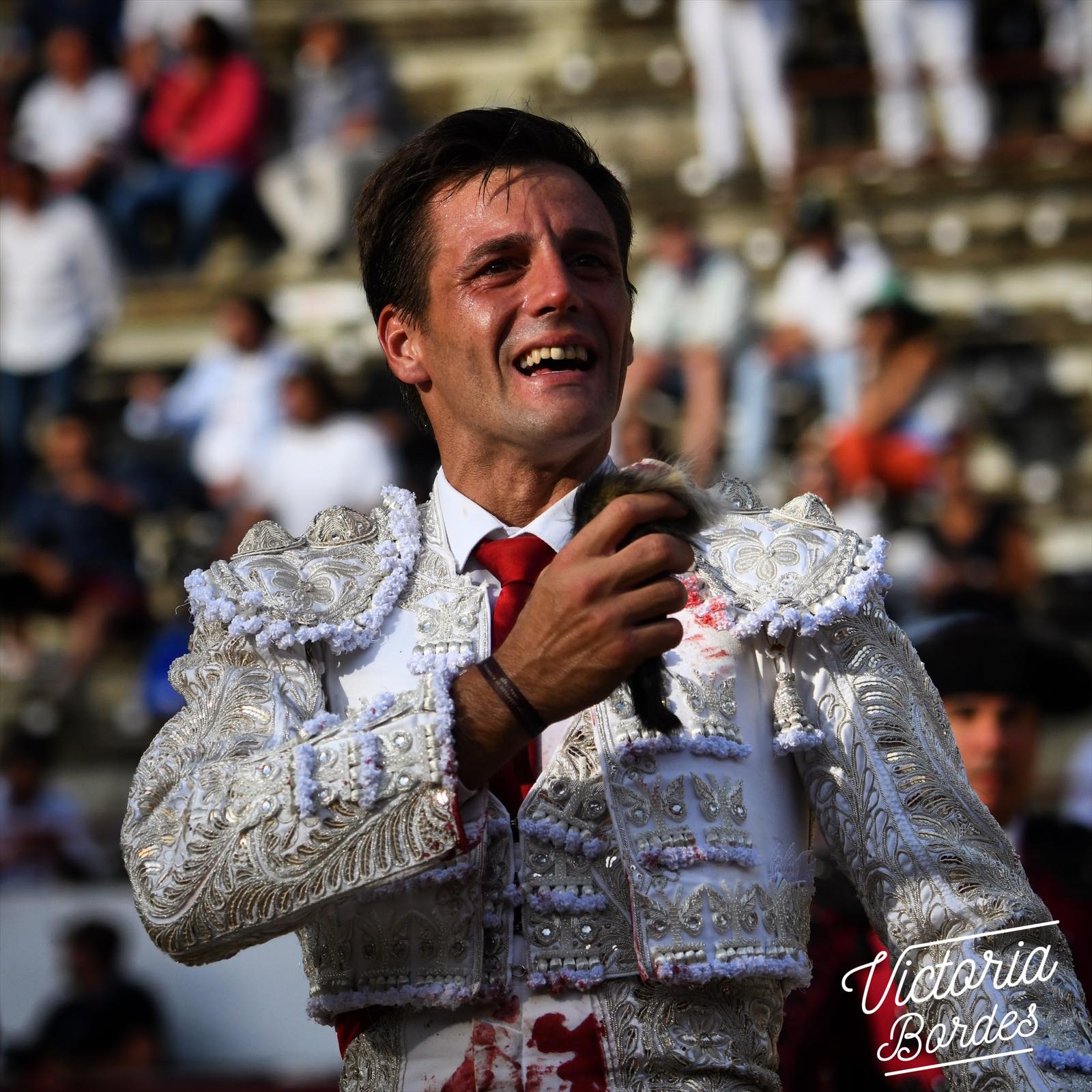 Francisco Montero Mundillo Taurino