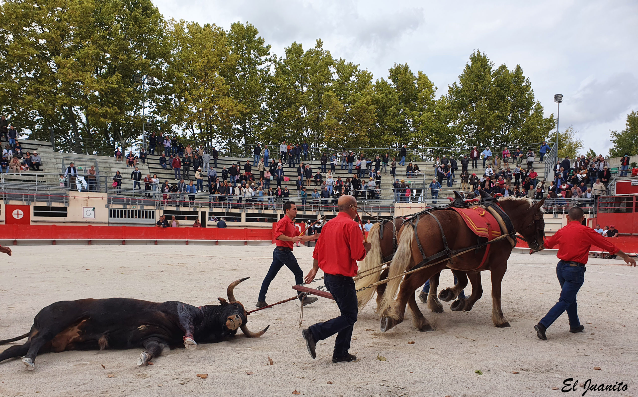 Saint Martin de Crau dévoile la cartel de sa corrida du Samedi 22 avril 2023 Mundillo Taurino Saint Martin de Crau dévoile la cartel de sa corrida du Samedi 22 avril 2023 Mundillo Taurino