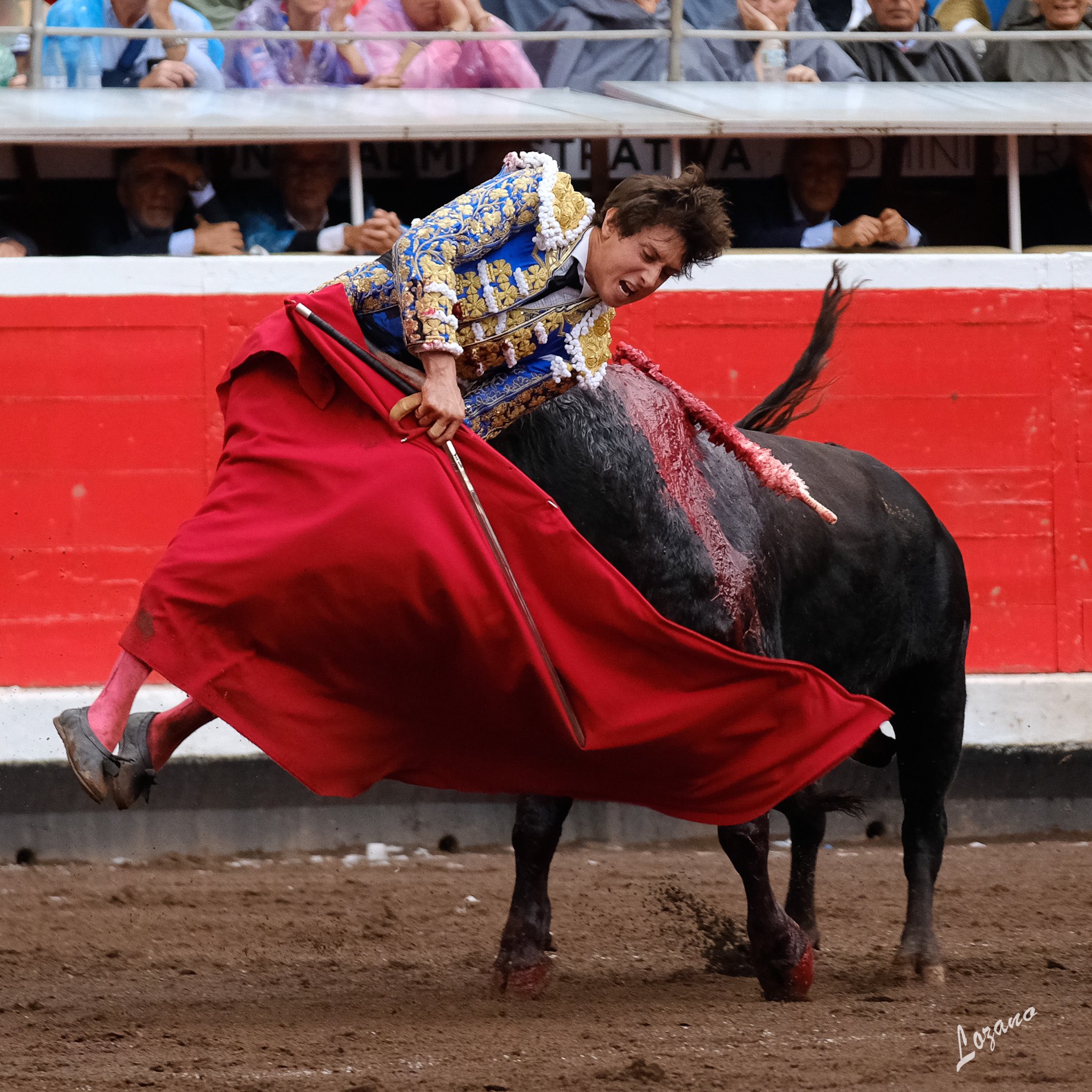 Bilbao Andrés Roca Rey doit déclarer forfait pour la corrida de ce Vendredi Mundillo Taurino