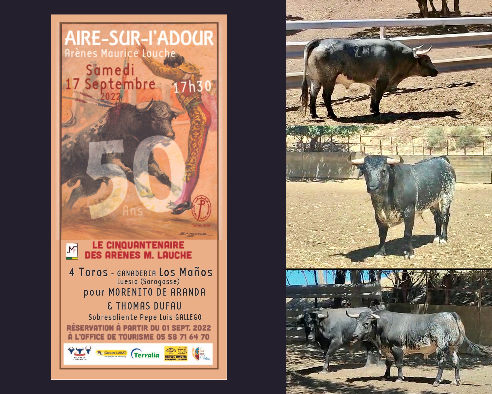 Aire sur Adour : les toros de Los Maños pour le Samedi 16 septembre